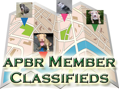 APBR member Pit Bull Classifieds