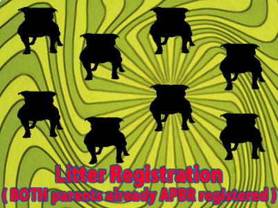 APBR Pit Bull litter registration