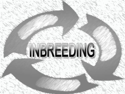 inbreeding and line breeding