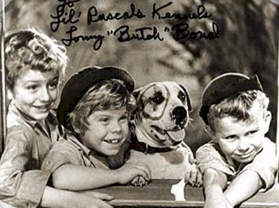 little rascals and petey the pit bull